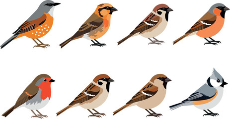 Small Bird Species Collection with Sparrow, Finch, Robin, and Tit Illustrations for Wildlife Design, Nature Education, and Ornithology Graphics Set © MstSultanaAkter