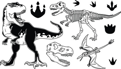 Antique style dinosaur bone set including predator skulls and extinct species vector © Buddhadeb