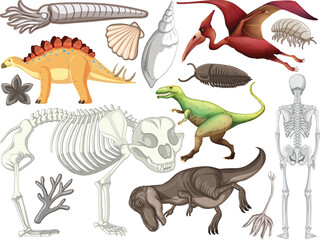 Educational prehistoric fossil collection featuring t rex bones and herbivore dinosaur silhouettes vector © Buddhadeb
