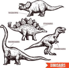 Tyrannosaurus rex skeleton illustration with triceratops and stegosaurus animal silhouettes vector © Buddhadeb