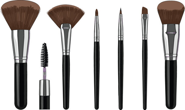 Makeup brushes and mascara set with professional cosmetic tools for beauty and skincare routine detailed vector illustration isolated on white background