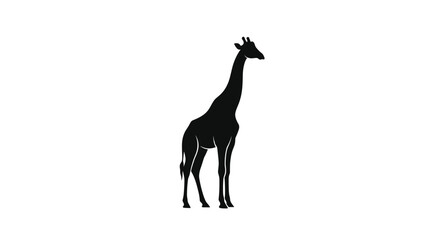 Fototapeta premium Minimalist black silhouette of a standing giraffe on white background