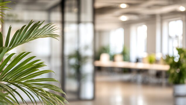 Abstract office interior background. Blurry office space. Modern workspace design. Glass walls, blurred furniture, plants. Natural light, commercial building, business concept, indoor. High quality