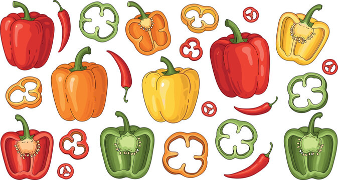 Vector Set of Bell Peppers and Chili Peppers in Various Colors and Slices for Culinary, Cooking, and Food Illustrations