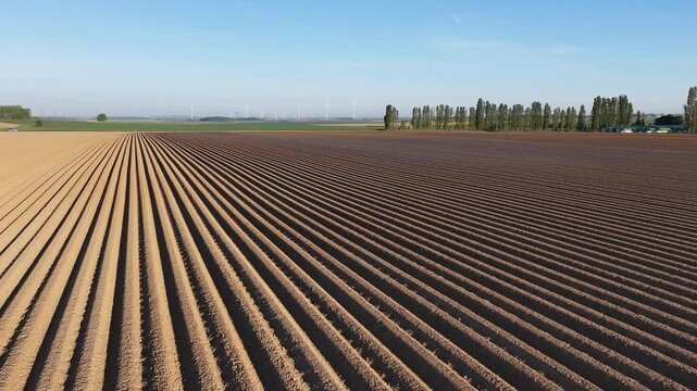 Aerial drone footage of potato furrows in a rural agricultural field in Picardie, northern France. Rows of cultivated soil with symmetrical ridges and parallel lines, typical of vegetable farming.