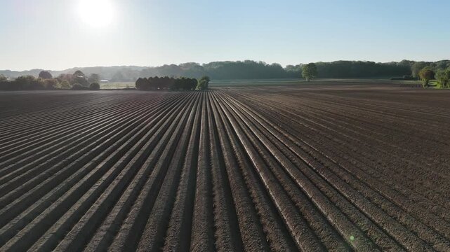 Aerial drone footage of potato furrows in a rural agricultural field in Picardie, northern France. Rows of cultivated soil with symmetrical ridges and parallel lines, typical of vegetable farming.