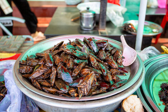Local vendor selling fried insect delicacy to tourists in Cambodia