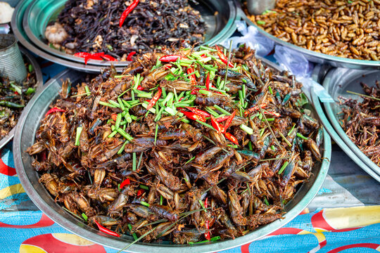 Local vendor selling fried insect delicacy to tourists in Cambodia