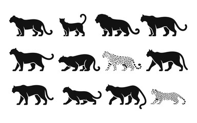 Collection of black silhouette wild cats and domestic cat © MDSHAHIN