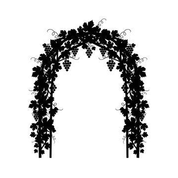 Elegant silhouette of a grapevine archway, perfect for garden decor and design.
