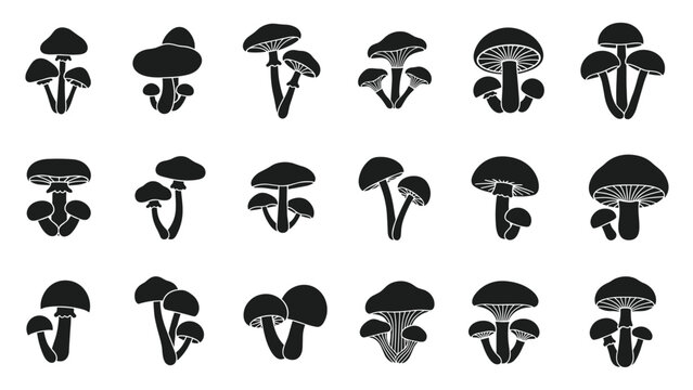 Collection of various wild mushroom silhouettes in black color depicting different fungal shapes on a clean white background.