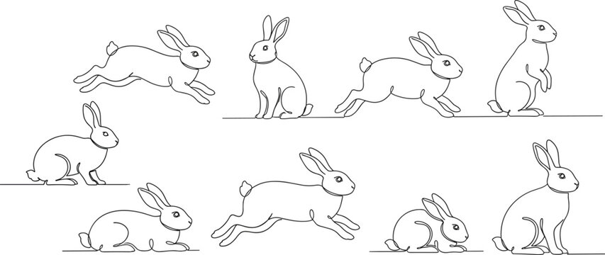 Minimalist line drawing rabbit collection featuring sitting, crouching, hopping, and running poses capturing animal motion and posture illustration