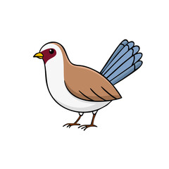 Fototapeta premium Cute cartoon bird with brown and white feathers and blue tail feathers