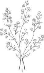 A black and white illustration of a sprig of rosemary © RaselCreativeWorks