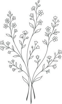 A black and white illustration of a sprig of rosemary