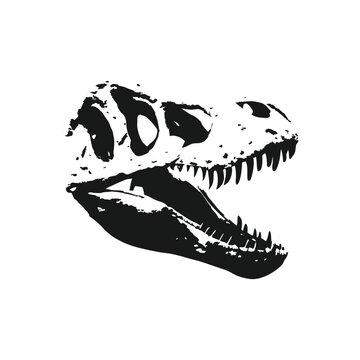 black and white illustration of dinosaur skull fossil hand drawn style vector art