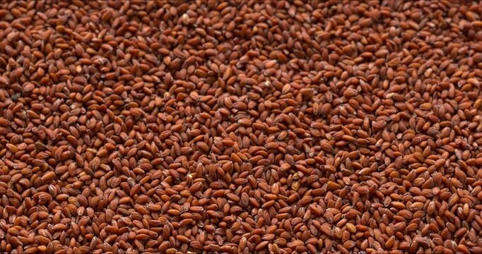 Garden cress (Lepidium sativum) seeds as a background texture. Selective focus, table spin. 