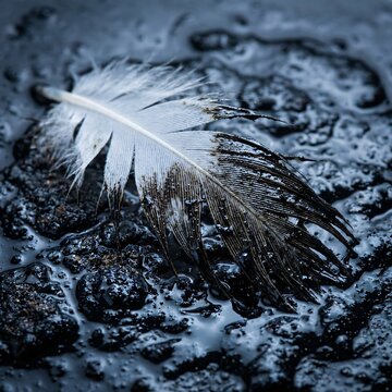 Environmental destruction and ecological cost of war concept featuring white bird feather covered in toxic black sludge for ruined innocence