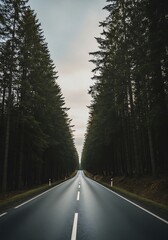 Fototapeta premium Road Through the Forest - A Journey into the Unknown.