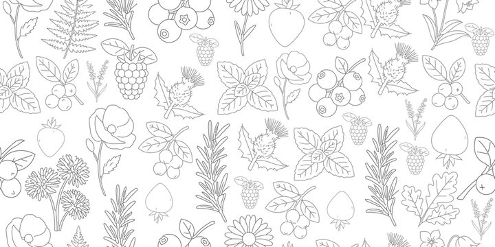 Line art wild plants berries flowers leaves nature seamless pattern vector
