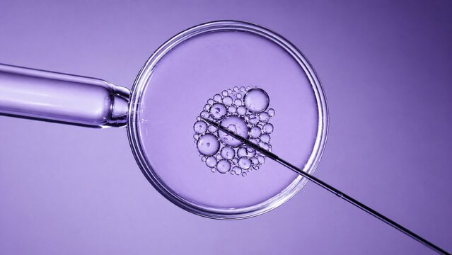 IVF Fertilization Concept Intracytoplasmic Sperm Injection ICSI Microscopy