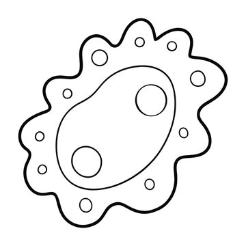 Amoeba proteus is a single-celled organism with an irregular shape. It has a flexible membrane, cytoplasm, nucleus, and pseudopodia used for movement and feeding.
