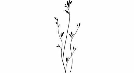 Minimalist Black Branch with Small Leaves on White Background, Elegant Silhouette © Ucul