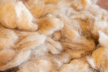 Close-up of Dog Fluffy Natural Wool Fiber © MARINA