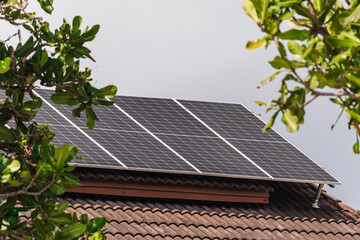 Obraz premium Solar panels on house roof surrounded by tropical trees renewable energy concept