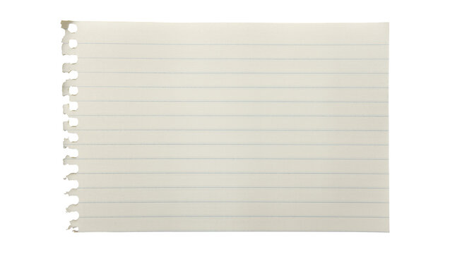 Torn lined notebook paper sheet with punched holes, isolated on transparent background