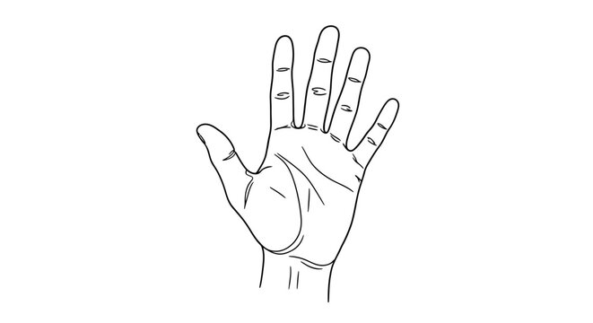 Open Hand Outline Drawing, Five Fingers Spread, Minimalist Vector Art