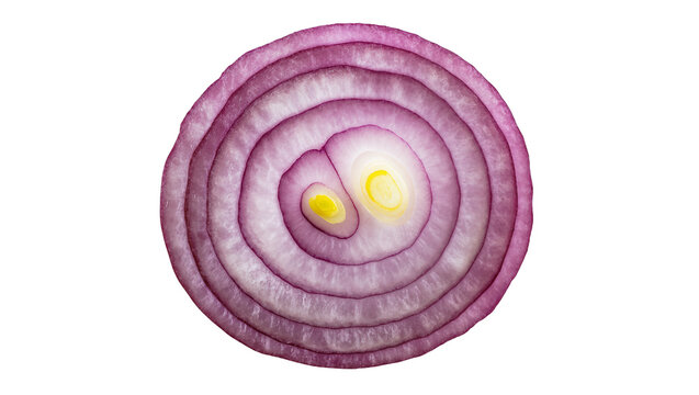 Cross section of a red onion with concentric purple and white rings, isolated on transparent background
