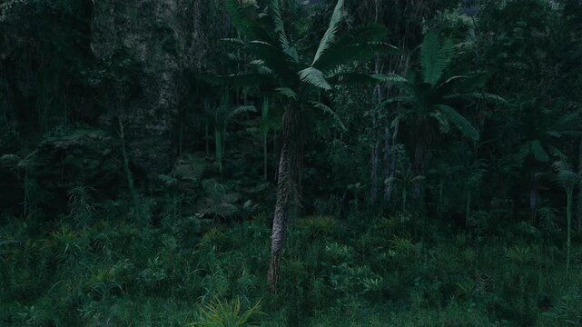 Bright scene with detailed foliage. Daytime lush vegetation with textured green leaves. Vibrant understory scene emphasizing moisture and patterned sunlight