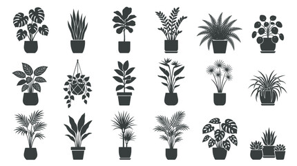 Fototapeta premium Houseplants