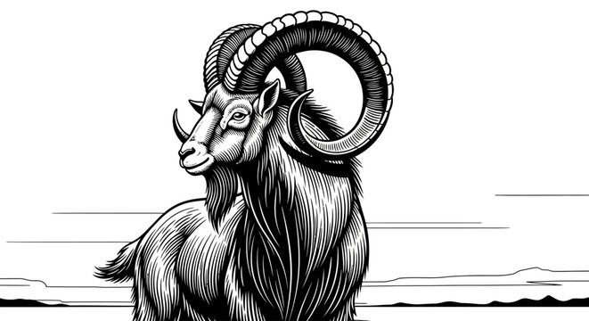 Large horned ram standing alone in a mountainous landscape scenery