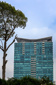 Das Viacom Center in Ho Chi Minh-Stadt in einer vertikalen Aufnahme; auf der linken Bildseite pr&auml;sent ein angeschnittener Baum