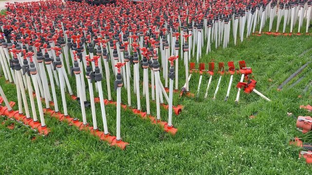 Irrigation sprinklers field. modern equipment for irrigation of fields. High quality 4k footage