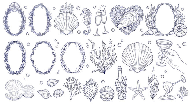 Collection of elegant marine-themed decorative elements and illustrations for design projects