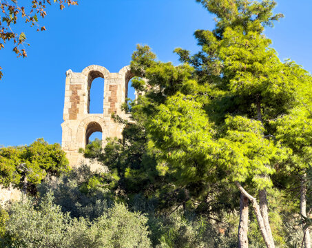 Odeon of Herodes Atticus, Herodeion stone ruins rise above pine trees on the Acropolis hill in Athens, Greece.