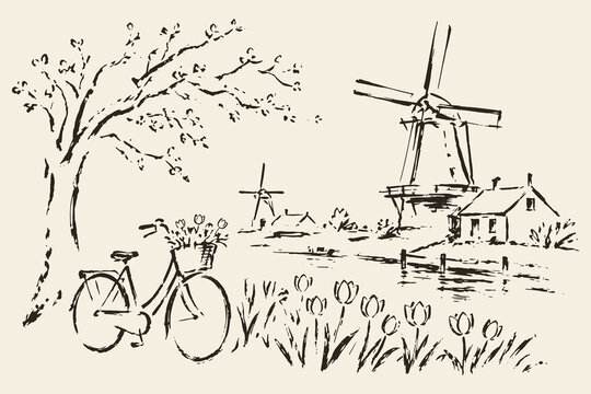 Dutch windmill bicycle tulip sketch vector illustration