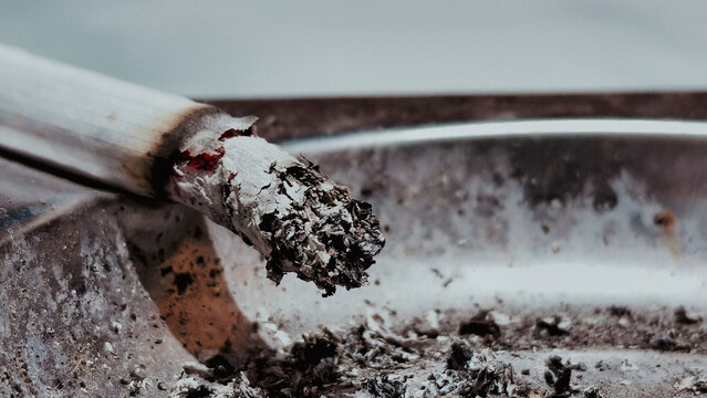 Cigarette butt in ashtray