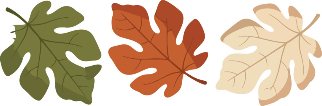 Botanical Leaf Illustration Set in Earthy Autumn Tones