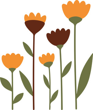 Floral Illustration with Yellow Orange Flowers Isolated on White