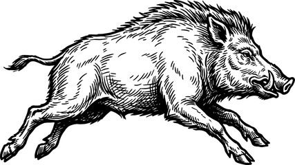 Fototapeta premium Fierce wild boar charging forward with great speed