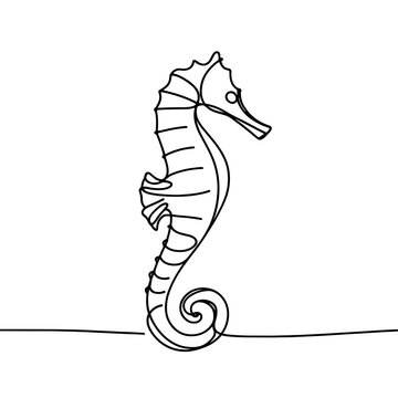 Elegant Seahorse in Continuous Line Drawing Style, Minimal Outline Marine Animal Vector Illustration for Ocean and Underwater Life Concepts