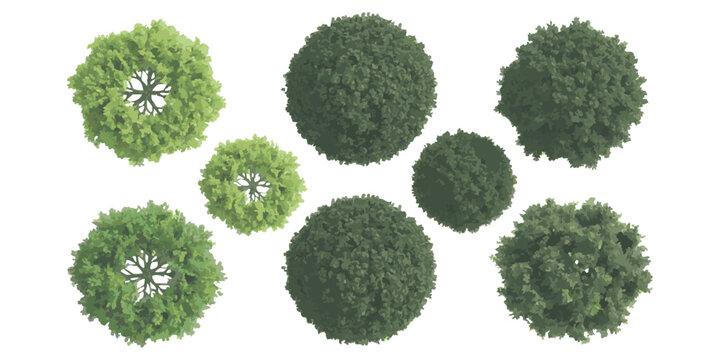 Set of green and dark grey trees viewed from above for architectural landscape garden design