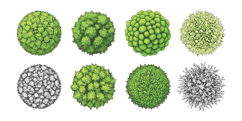 Set of eight top view trees for architectural landscape design and garden planning © ZenVectors