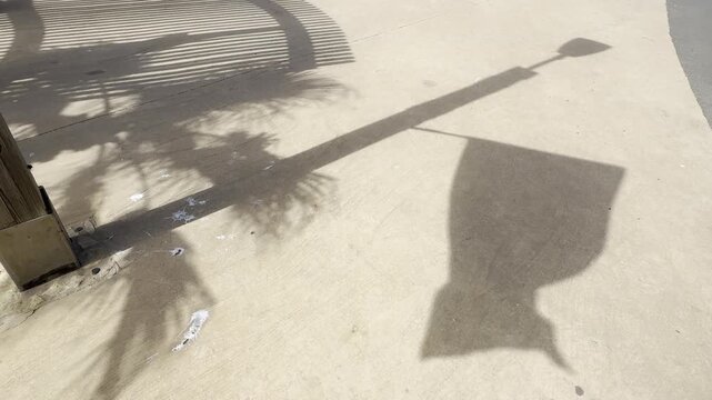 the shadow of a flag and a palm sways on a sandy path beside the shadow of a sunshade near the sea