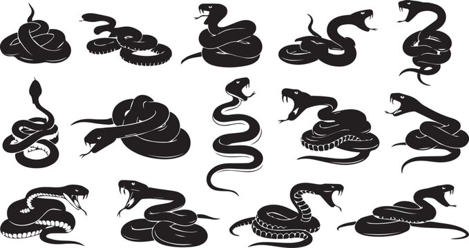 Snake Vector illustration 