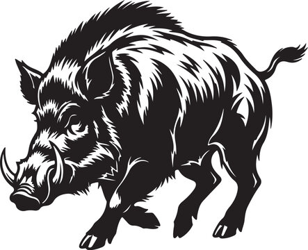 Black wild boar with tusks